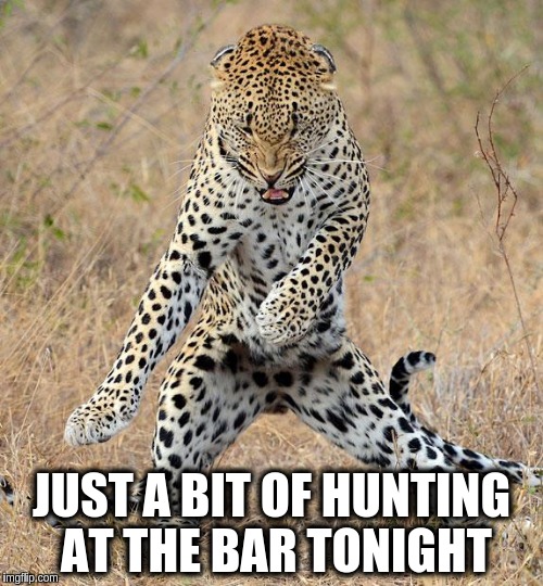 hunting-at-the-bar-tonight