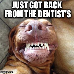just-got-back-from-the-dentists