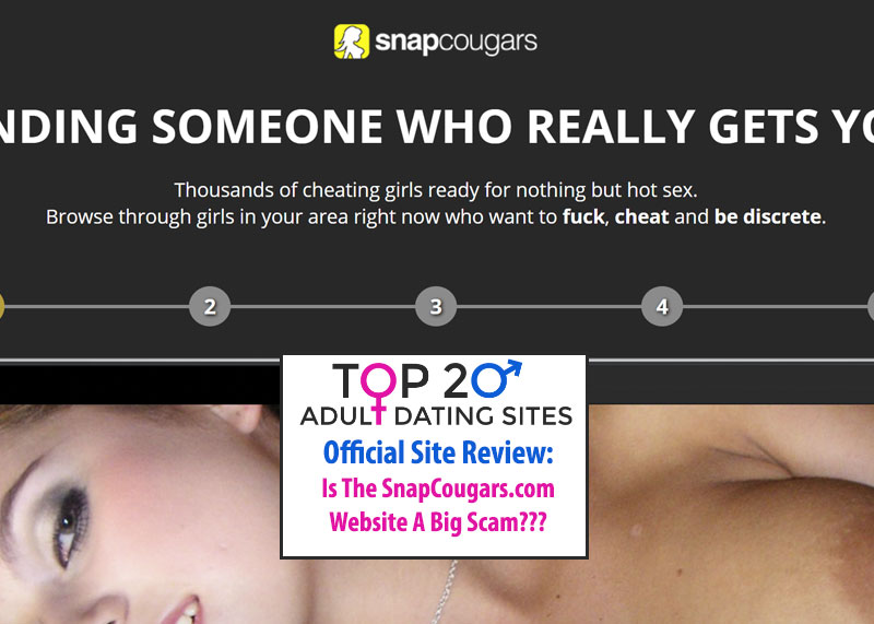 Snap Cougars website